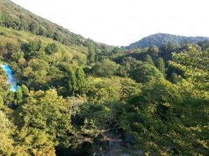 To the left is the bridge and below is the garden. Further out you can see the shrine which is the other end of the bridge.