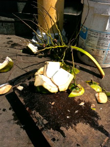 Recently chopped coconut outside a shop door.