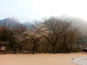 At the base of the mountain, Seoraksan National Park.