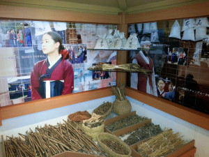 Herbs used to hone DJG's medicinal skills during her time in exile on Jeju island.