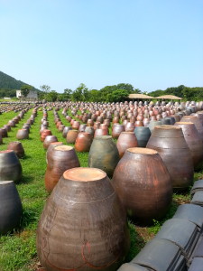 Traditional earthenware pottery, used to store fermented vegetables and unrefined rice wine, "makoli."